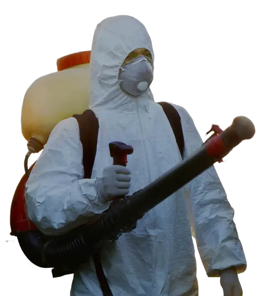 45a41d6c-2cf8-468e-a8c2-81036e13c0f0_optimized